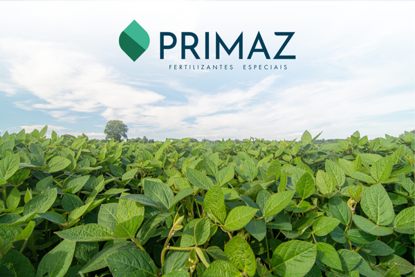 Primaz nasceu das algas e é eficácia PrimaSea como fertilizante