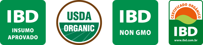 Camada_1