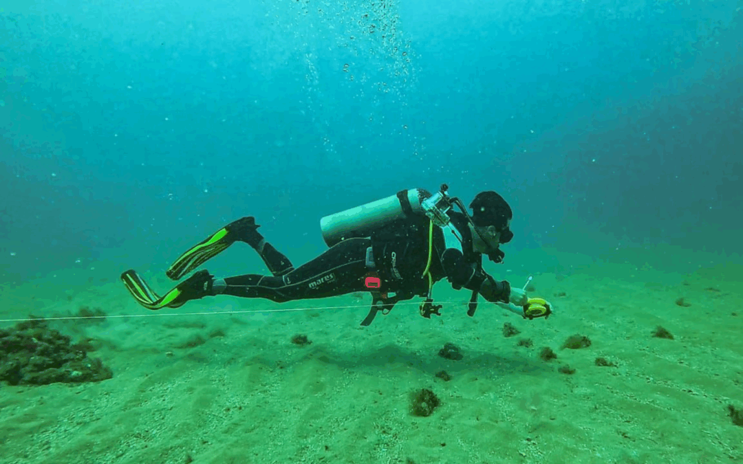 Monitoramento Ambiental da PrimaSea: cuidado que vai além das áreas de extração