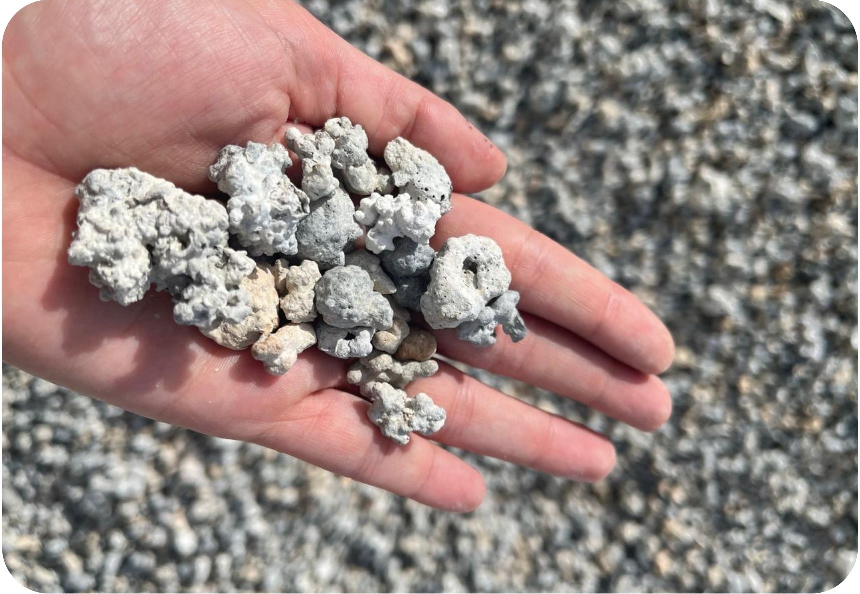 LITHOTHAMNIUM NA MÃO