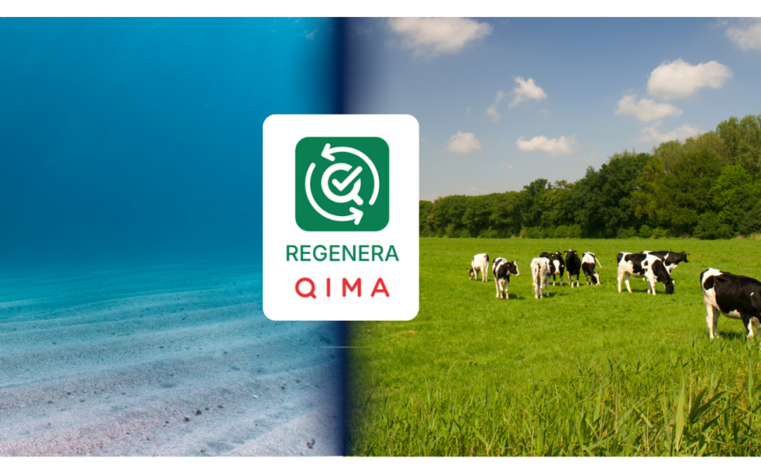 Muito além do rótulo: certificação Regenera para o futuro do agronegócio
